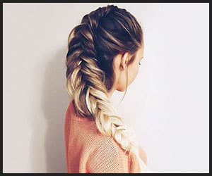 Fishtail Braid